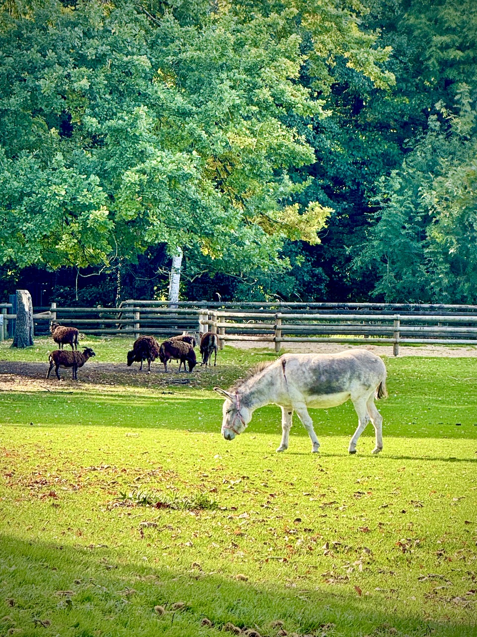 Lindenthaler Tierpark